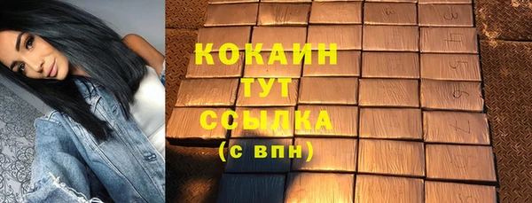ГАЛЛЮЦИНОГЕННЫЕ ГРИБЫ Бородино
