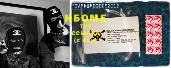 стафф Надым